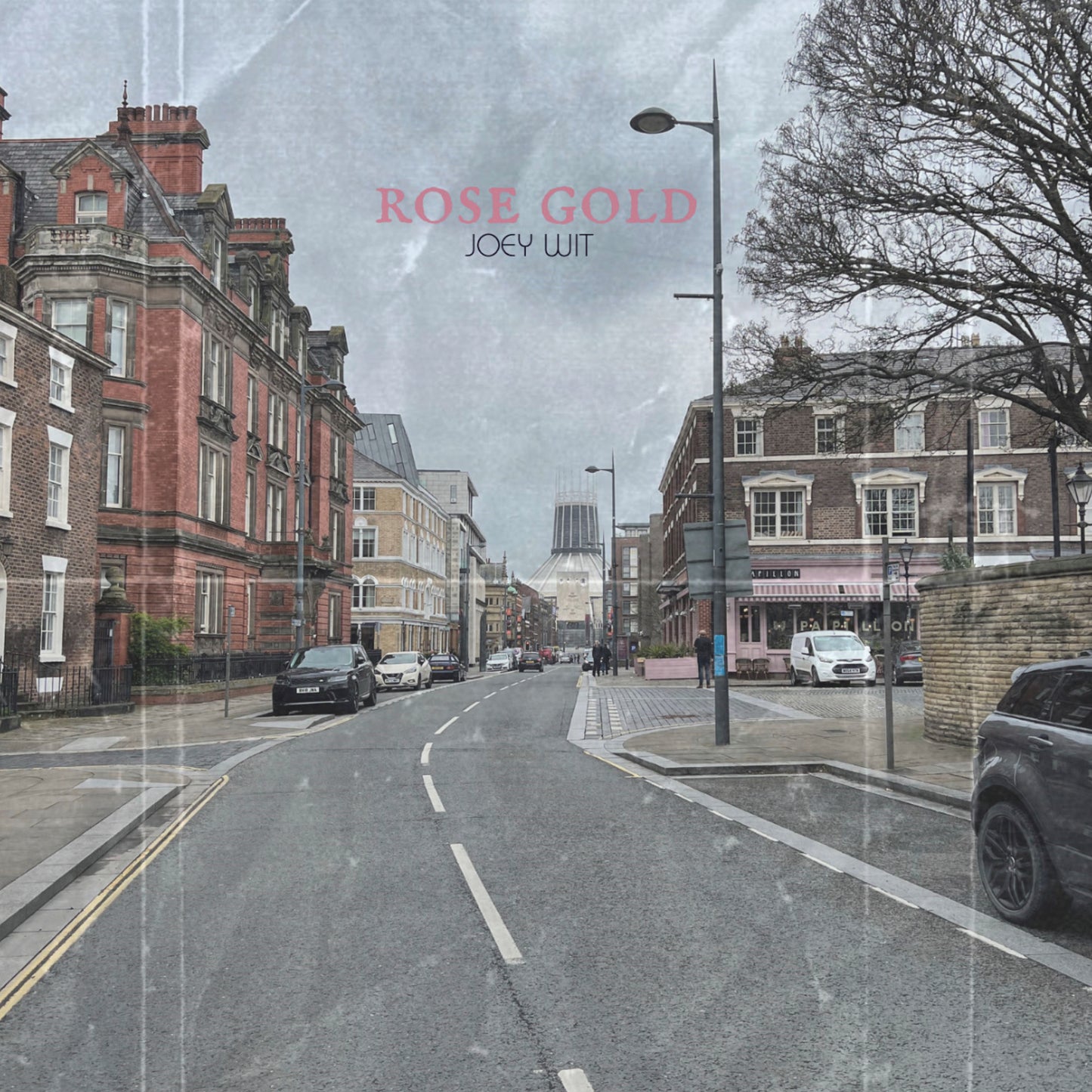 Joey Wit - album - Rose Gold (Vinyl LP)