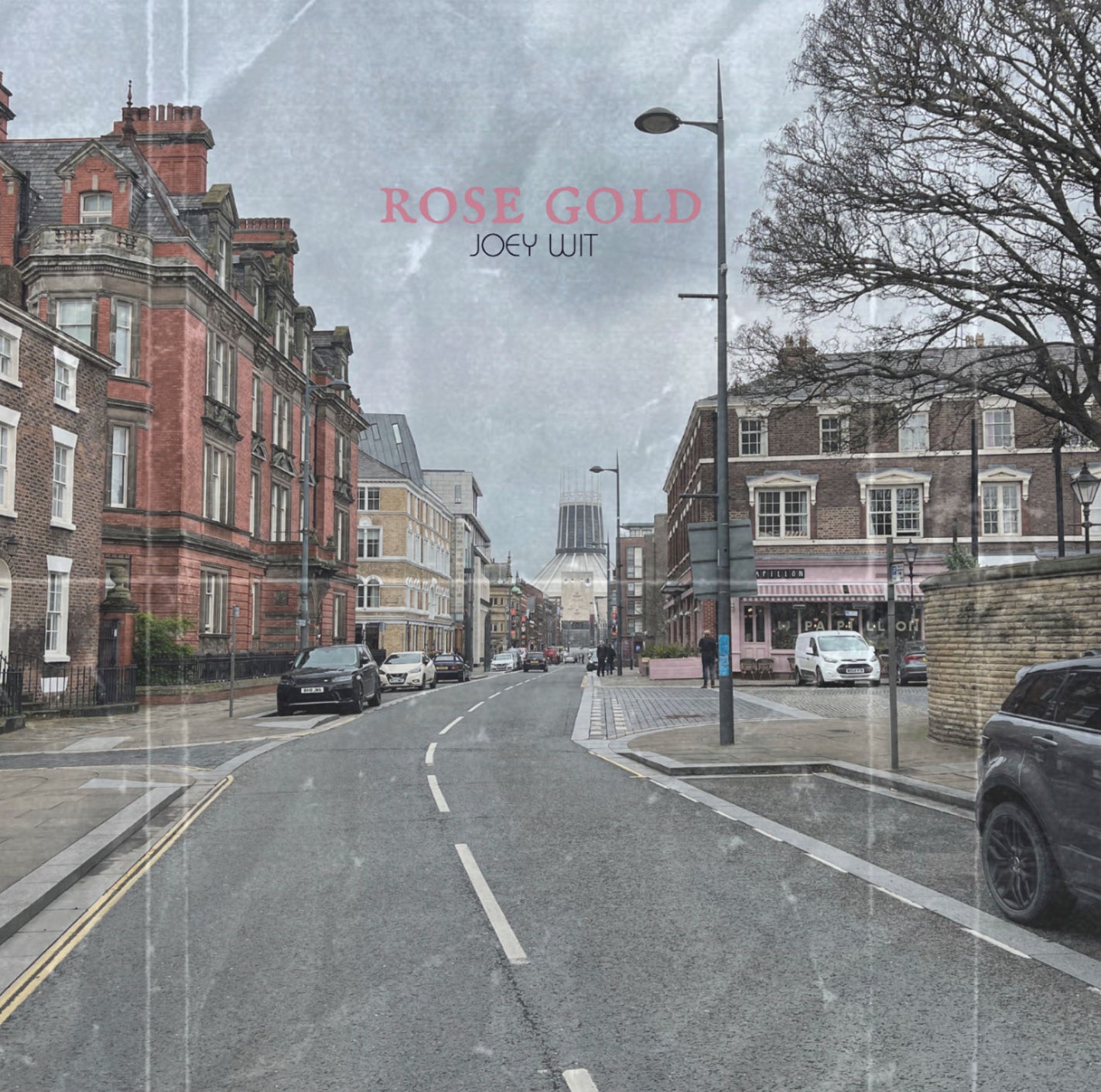 Joey Wit - album - Rose Gold (CD)