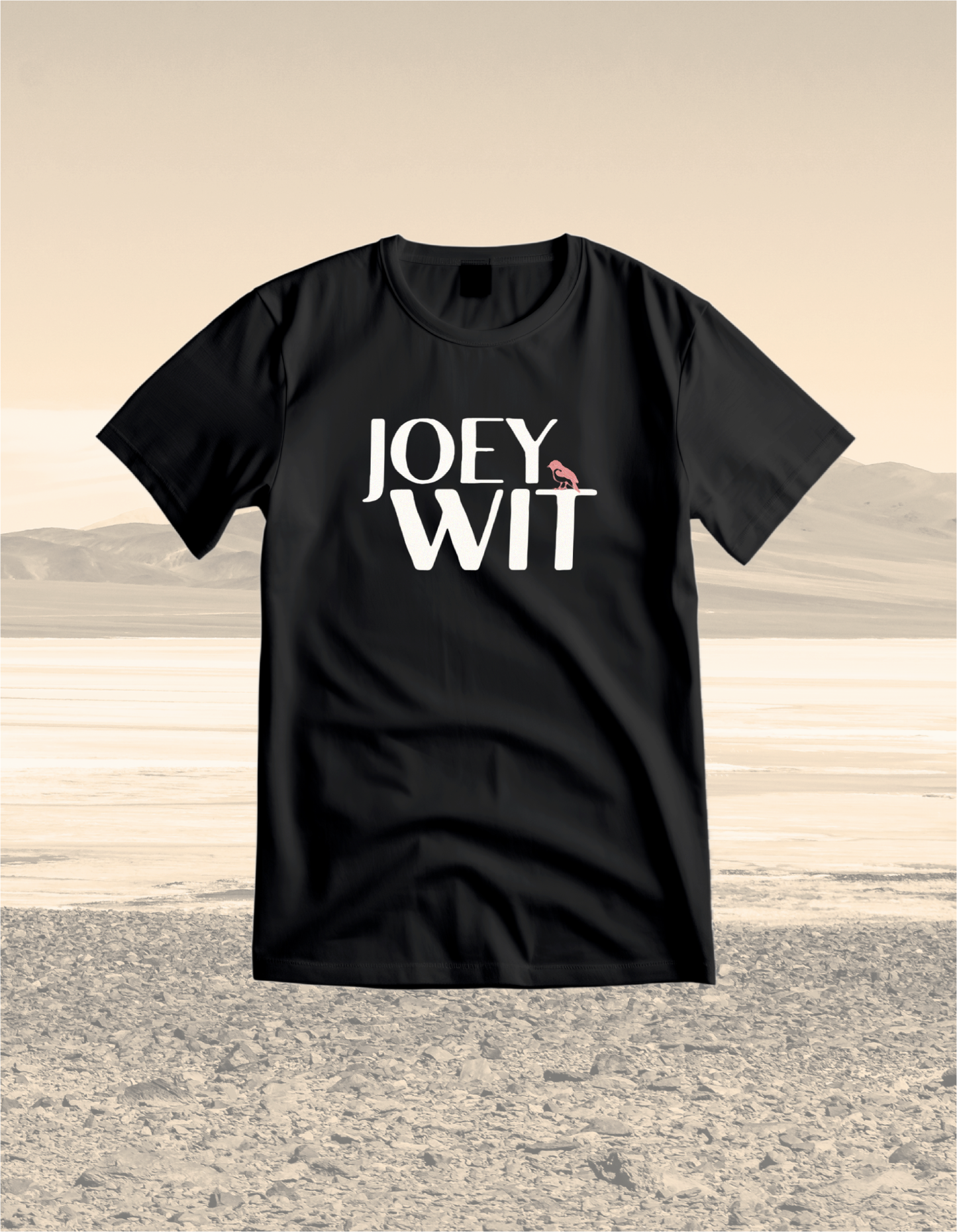 Joey Wit - Unisex t-shirt - Robin Edition